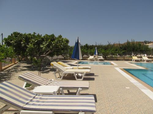 a row of lounge chairs next to a swimming pool at Paraschos Studios Kos in Kardamaina