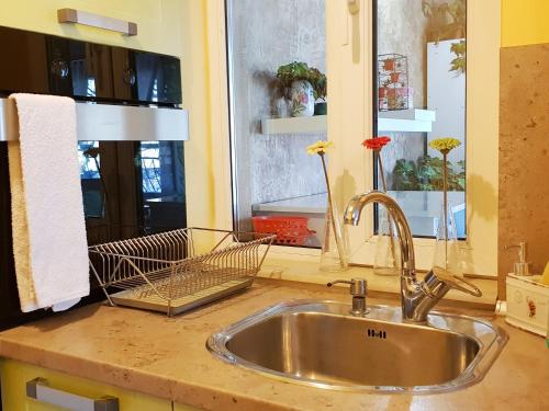 um balcão de cozinha com um lavatório e uma janela em Apartment Nicole em Plovdiv