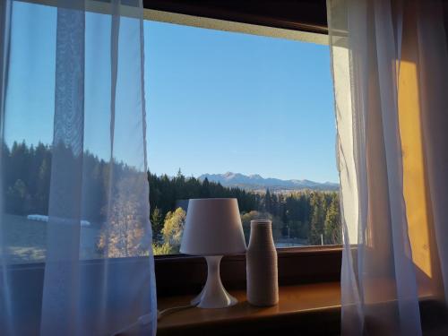 a window with a lamp and a window with a view at Apartament NA PIĘTERKU in Rzepiska