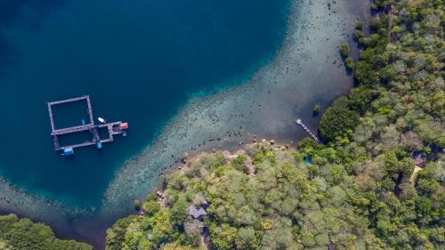 an aerial view of a lake with a dock at Menjangan Ecolodge - CHSE Certified in Banyuwedang