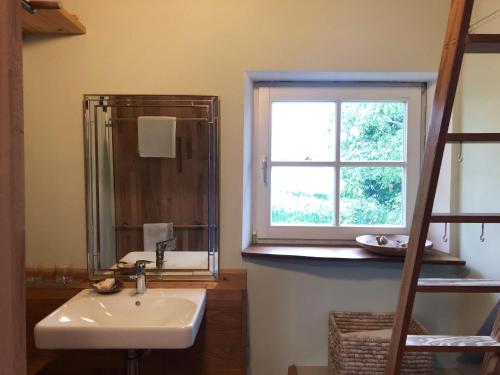 a bathroom with a sink and a window and a shower at Das blaue Haus in Pfullendorf