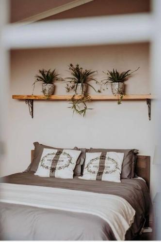 a bedroom with a bed with plants on a shelf at Sorgenfri in Hendrina