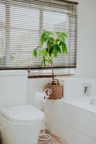 a bathroom with a toilet and a plant in a window at Sorgenfri in Hendrina