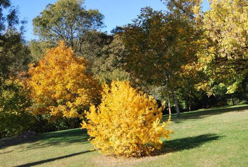 Taman di luar Domaine La Bastide