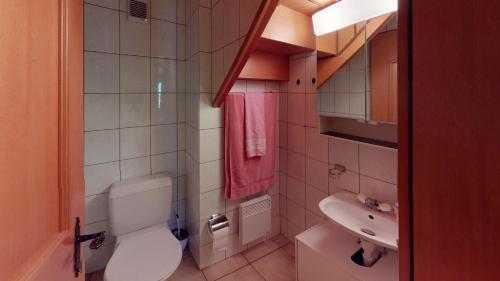 a small bathroom with a toilet and a sink at Chalet Leonie LE0 in Blatten bei Naters