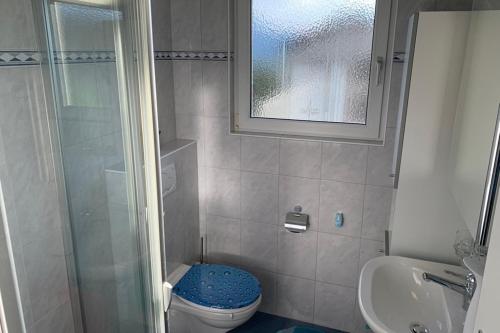a bathroom with a shower and a toilet and a sink at Haus Linaria - CharmingStay in Flumserberg