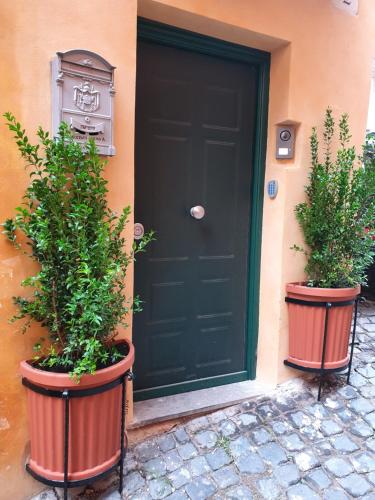 Vicolo Navona