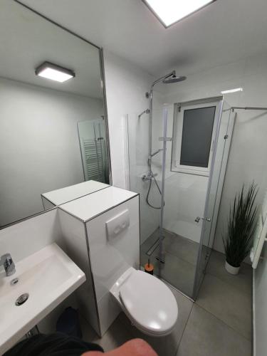 uma casa de banho com um WC branco e um chuveiro em Haus Fasanerie em Fulda