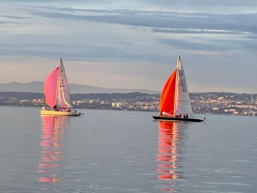 two sailboats in a large body of water at Entre Alpes et Léman in Publier