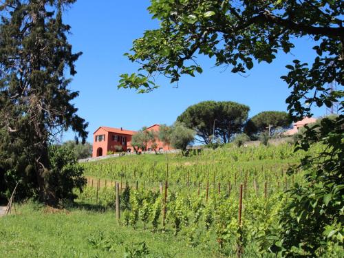 a field of vines with a red house in the background at Holiday Home Casa dell'Arco by Interhome in Sestri Levante