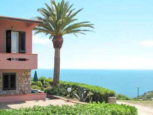 una palma di fronte a una casa di Apartment Palma by Interhome a Capoliveri