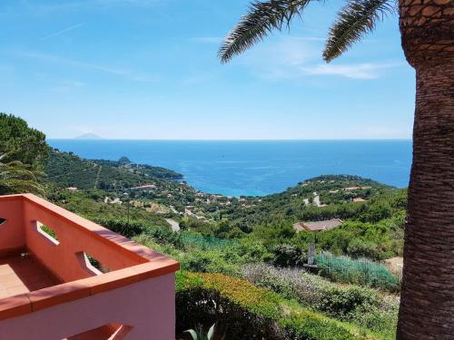 - une vue sur l'océan depuis une maison avec un palmier dans l'établissement Apartment Palma by Interhome, à Capoliveri