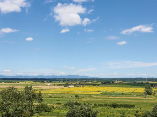 a view of a field with a blue sky and clouds at Holiday Home Piero by Interhome in Buti