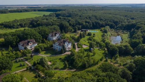 an aerial view of a large estate with a large house at Aquadar in Manʼkivka