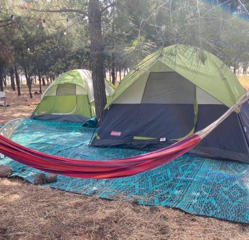 Natur的住宿－Yurt，帐篷和田野吊床