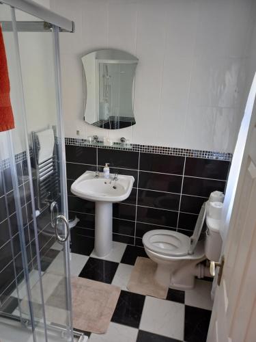 a bathroom with a toilet and a sink and a shower at Stunning 1-Bed Apartment Valentia Island in Valentia Island
