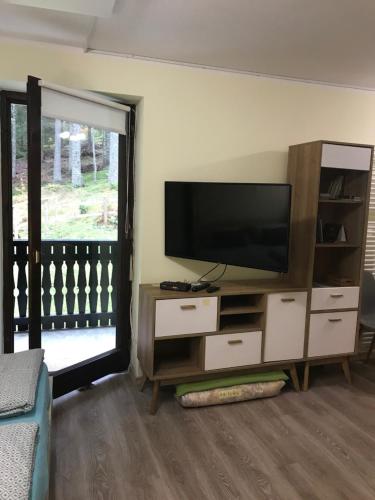 ein Wohnzimmer mit einem Flachbild-TV auf einem Entertainment-Center in der Unterkunft Apartma Anja in Zgornje Gorje