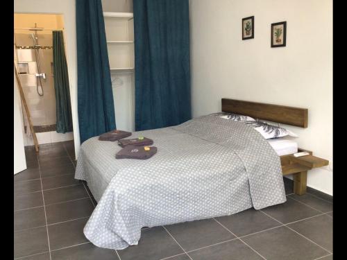 a bedroom with a bed and blue curtains at Charmant pied-à-terre coeur de ville in Pointe-à-Pitre