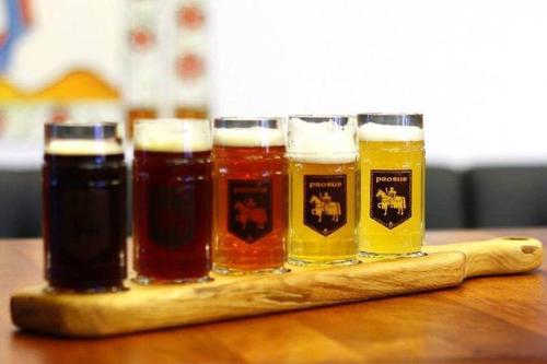 a group of four glasses of beer on a wooden tray at CTKiR Browar Probus in Oława