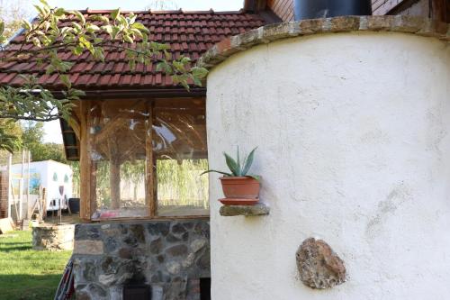 a potted plant sitting on the side of a building at Casa Miliza - Agropensiunea şi Punctul Gastronomic Local, în vecinătatea castelului Salbek in Petriş