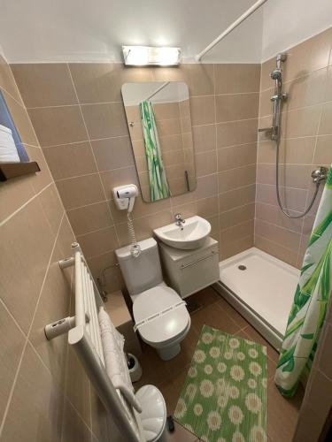 a bathroom with a toilet and a sink and a shower at Pensiunea La Steaguri in Pojorâta