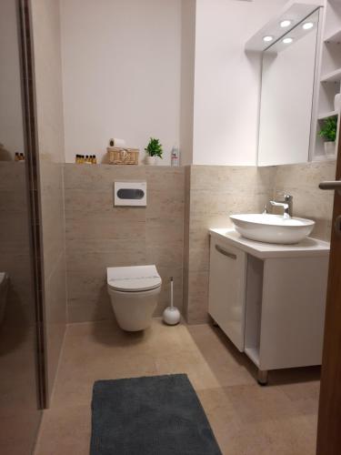 La salle de bains est pourvue de toilettes et d'un lavabo. dans l'établissement Apartman Orl Lux, à Lukavica