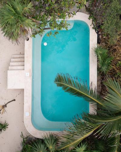 an overhead view of a swimming pool with a palm tree at Diamante K - Inside Tulum National Park in Tulum