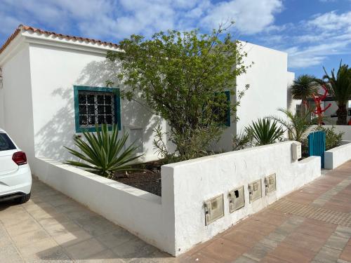 Una casa blanca con un árbol delante. en Villa Leon, en Caleta de Fuste