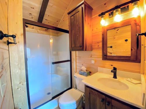 a bathroom with a toilet and a sink and a shower at B10 NEW Awesome Tiny Home with AC Mountain Views Minutes to Skiing Hiking Attractions in Carroll