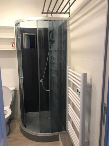 La salle de bains est pourvue d'une douche en verre et de toilettes. dans l'établissement Chaleureux studio familal 