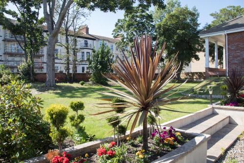 un jardín con una palmera en un patio en Remaotel Seafield Court Apartments, en Great Yarmouth
