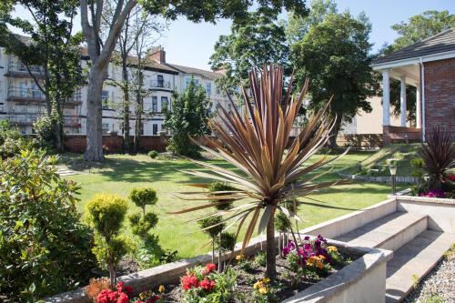 a garden with a palm tree in a yard at Remaotel Seafield Court Apartments in Great Yarmouth