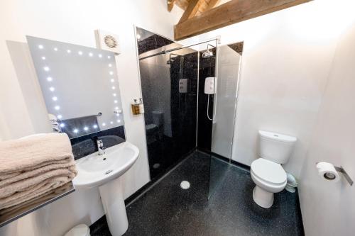 a bathroom with a toilet sink and a shower at The Red Lion Eaton in Norwich