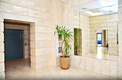 a potted plant in a lobby with a mirror at Panoramic Plaza Apartments in Odesa