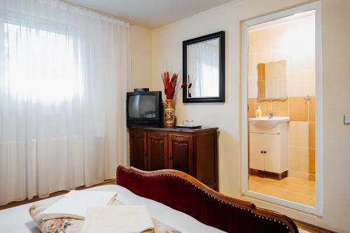 a room with a bed and a tv and a mirror at Casa Ardeleana in Lotrioara