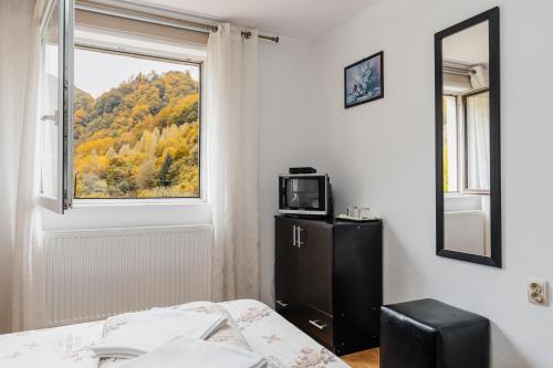 Dormitorio con ventana, cama y TV en Casa Ardeleana, en Lotrioara
