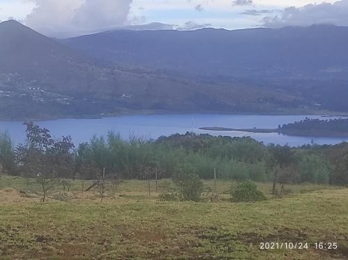 a view of a lake in a field with trees at Refugio El Cacique in Guatavita