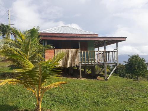 a house on a hill with a palm tree in front of it at Kiki's Nature Cabin in Calibishie