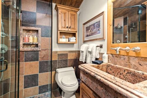 a bathroom with a toilet and a shower and a sink at Shadow Mountain 14 in Aspen