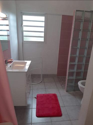 a bathroom with a sink and a toilet and a red rug at Villa REMY in Le Marin