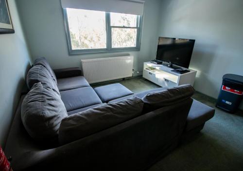 Altitude Apartment 2 في Baw Baw Village: غرفة معيشة مع أريكة وتلفزيون بشاشة مسطحة