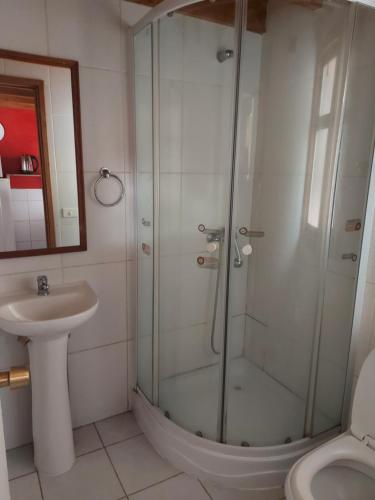 La salle de bains est pourvue d'une douche, d'un lavabo et de toilettes. dans l'établissement Cabañas La Travesía, à Choshuenco