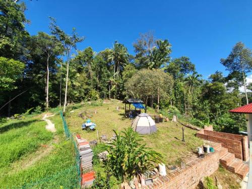 Taman di luar Neblina House