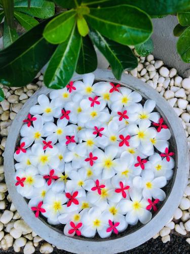 a bowl filled with flowers in a plant at Peacock Villa in Mirissa