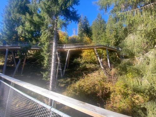 a bridge over a river with trees and a fence at Flims Chalet in Flims