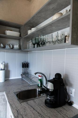 a kitchen counter with a sink and a mixer at Садиба Кичера Gold in Mizhhirʼʼya