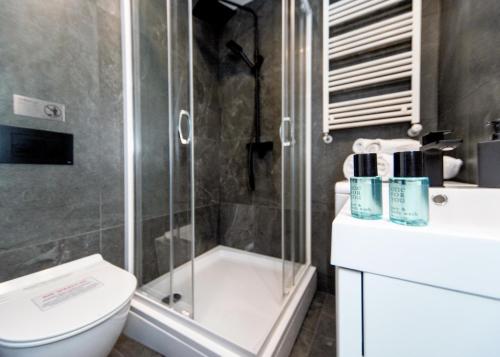 a bathroom with a shower and a toilet and a sink at Apartament Matejki E in Bielsko-Biała