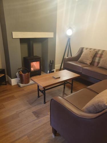 a living room with a couch and a fireplace at Emelia Cottage Ingleton in Ingleton