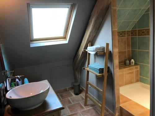 uma casa de banho com um lavatório, um espelho e um chuveiro em Le Domaine des Volets bleus em Beuzeville