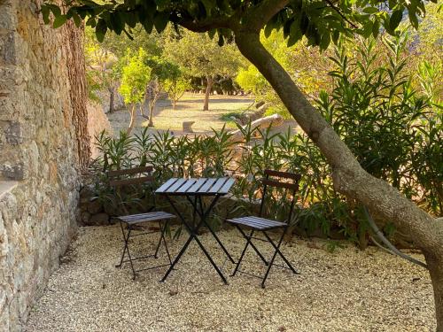 une table de pique-nique et deux chaises sous un arbre dans l'établissement Mirabó de Valldemossa, à Valldemossa